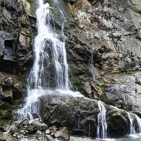 Treizeci de tone de deşeuri au fost strânse într-o acţiune de ecologizare a Defileului Jiului