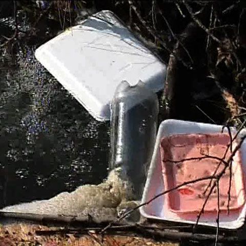 Clujenii care au ieşit la iarbă verde au lăsat în urmă munţi de gunoaie 