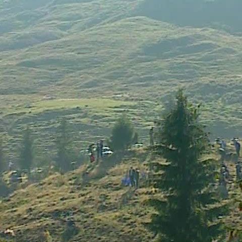 Disponibilizări la Romsilva