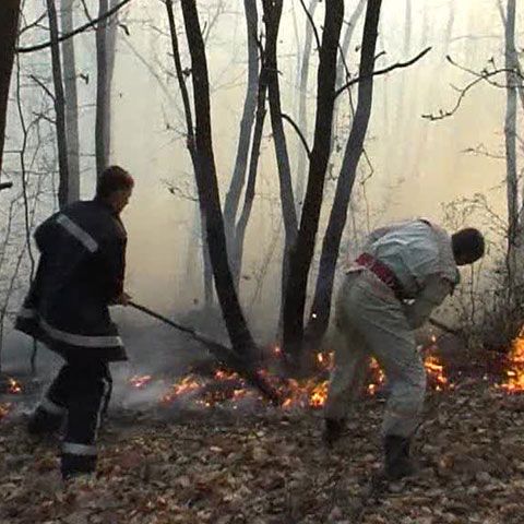 10 hectare de lizieră de lângă Hulubeşti au ars ieri 