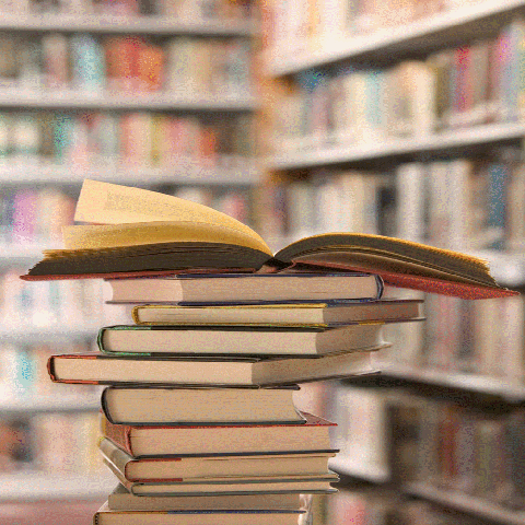 Vindea pe Internet cărţile pe care le fura din librărie