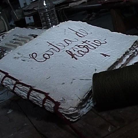 Un meşter român vrea să construiască o casă ecologică din hârtie