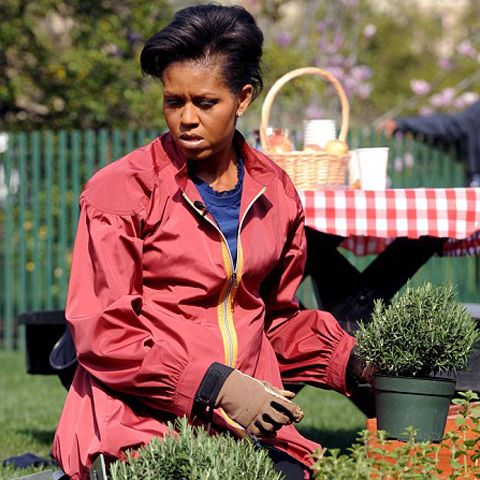 Michelle Obama s-a apucat de plantarea zarzavaturilor