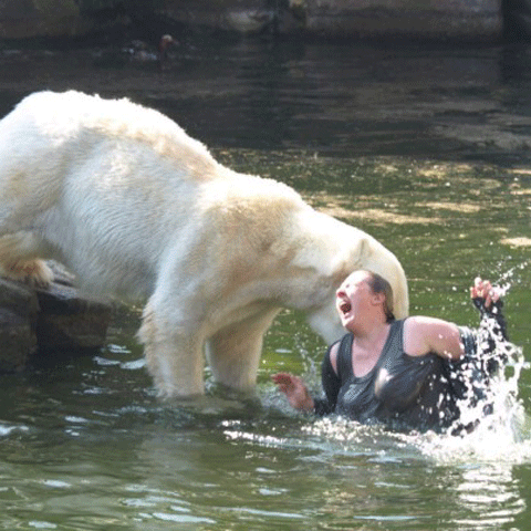 Momentul şocant în care un urs polar atacă o femeie, fotografiat