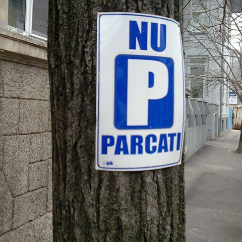 Un ONG organizează o campanie de mediu pentru eliberarea copacilor de reclamele ilegale