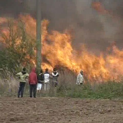 Un incendiu de vegetaţie a distrus un câmp din Prahova