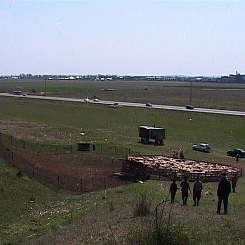 Miei tăiaţi cu cruzime la o stână din apropierea DN1