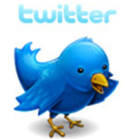 Reţeaua de socializare Twitter şi-a dublat numărul de utilizatori