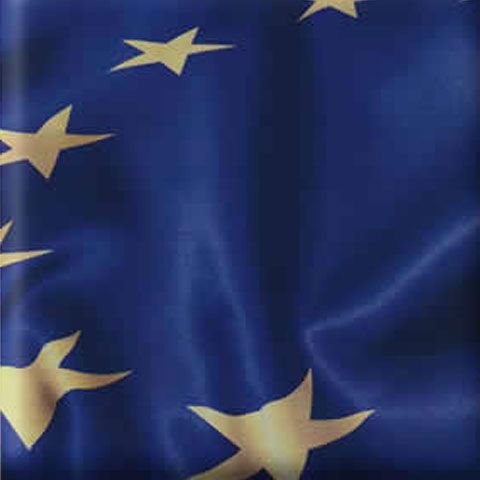 ANI poate verifica declaraţiile eurocandidaţilor doar după alegerile pentru Parlamentul European