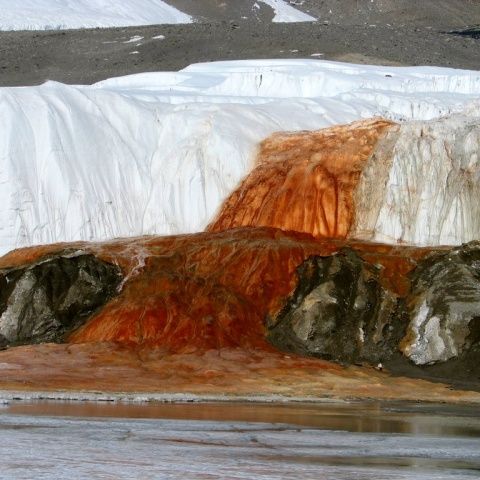 O colonie de microbi, veche de 1,5 milioane de ani, a fost descoperită sub gheaţa Antarcticii