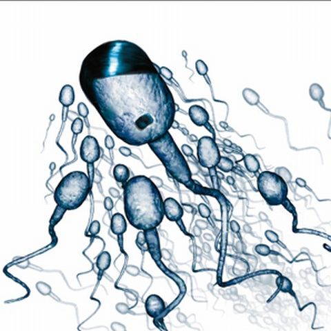 O reclamă la prezervative cu Mao în chip de spermatozoid provoacă indignare în China - VEZI IMAGINI