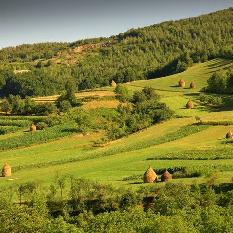 Proprietarii de pensiuni din ţară au pregătit bucate tradiţionale şi programe artistice pentru turişti