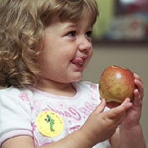 Copiii din creşe, grădiniţe, şcoli primare şi gimnaziale vor primi gratuit fructe la şcoală