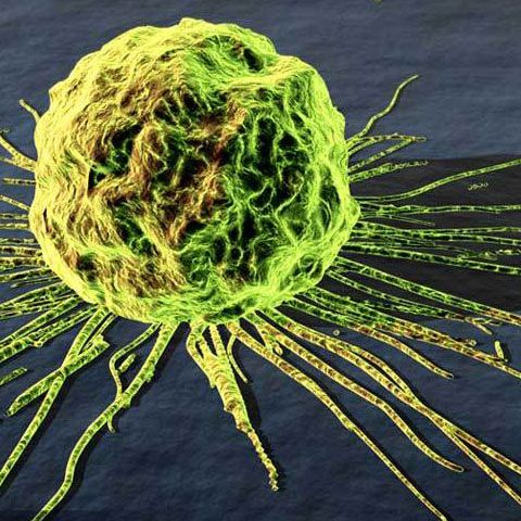 Tot mai mulţi bolnavi de cancer s-au vindecat complet datorită tratamentelor medicale