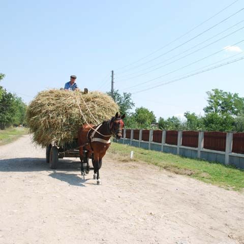 Un milion de români vor fi sărăciţi de criza financiară