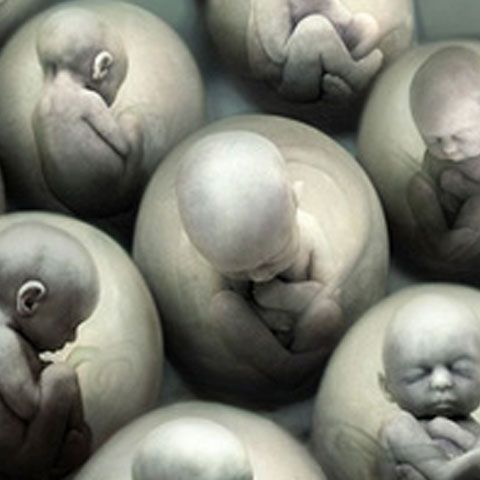 Un controversat medic american afirmă că a clonat 14 embrioni umani