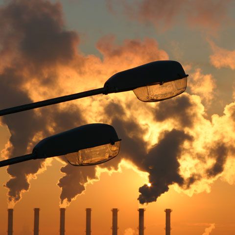 Poluarea atmosferică ar ajuta plantele să combată încălzirea climatică, potrivit unui studiu