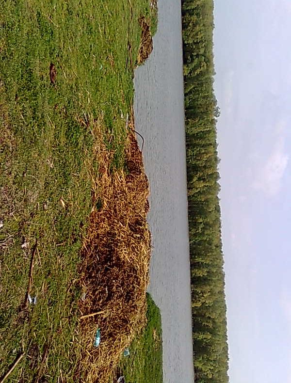 Malul Dunării din Călăraşi, plin de gunoaie