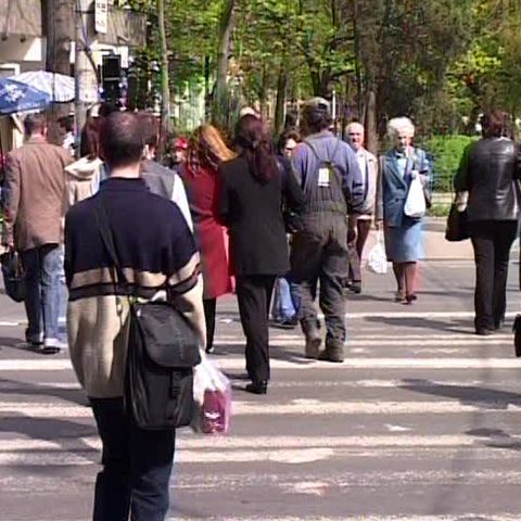 Cinci sute de mii de angajaţi aveau în 2008 salarii de peste 1000 de euro 