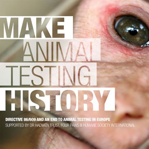 Primul marş virtual împotriva testării pe animale a fost lansat şi în România. Înscrie-te şi tu!