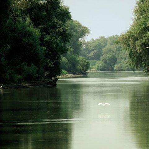 Ministerul Turismului vrea să facă un film despre potenţialul turistic al Deltei Dunării