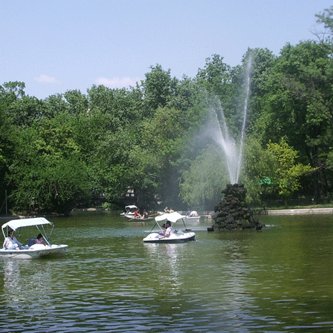 Directorul Administraţiei Lacuri, Parcuri şi Agrement Bucureşti a demisionat