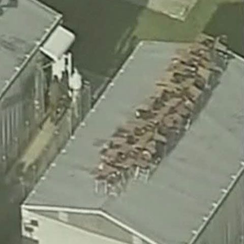 Cum au obţinut elevii din Florida o zi de vacanţă suplimentară aflaţi la REALITATEA pe NET