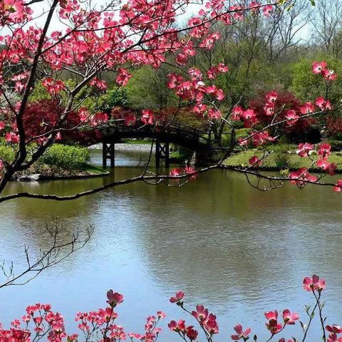 Vremea a început să se încălzească de duminică