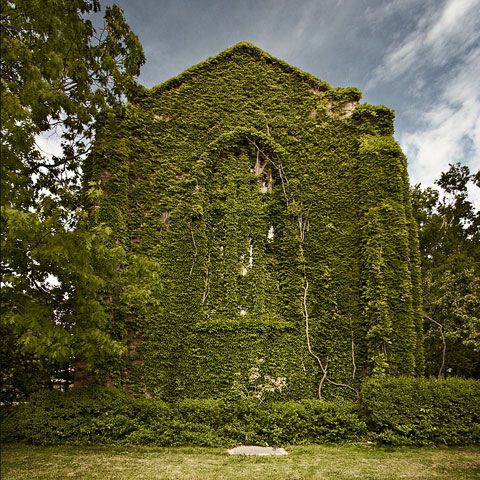 WWF: Promovarea eficienţei energetice la clădirilor noi din UE este o iniţiativă care va diminua emisia de CO2