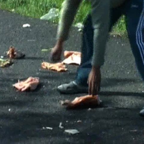 Un TIR care transporta slănină s-a izbit de un copac, la intrarea în Nădlac