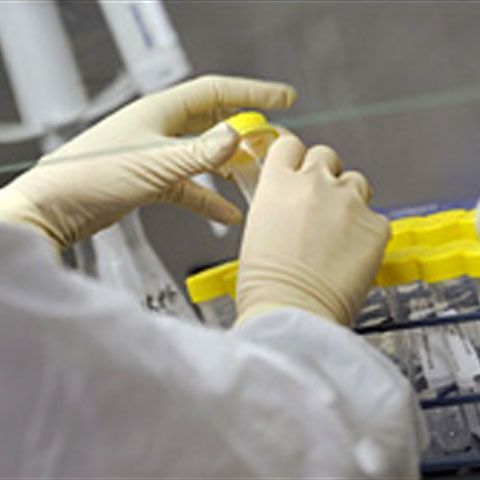 Coreea de Sud a anunţat primul caz suspect de gripă porcină