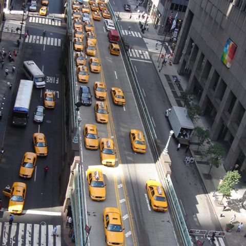 28 din cele 44 de cazuri de gripă porcină din SUA sunt la New York 