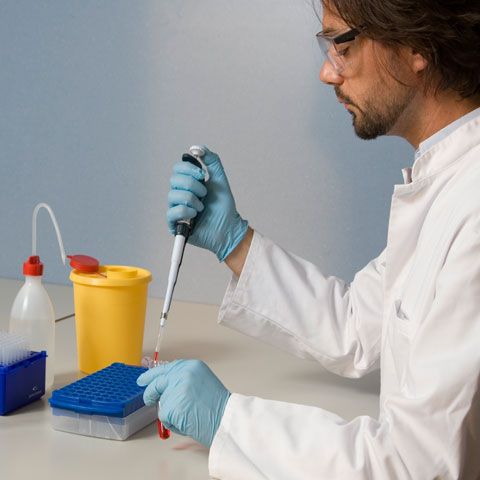 Companiile farmaceutice au început să lucreze la un vaccin împotriva gripei porcine