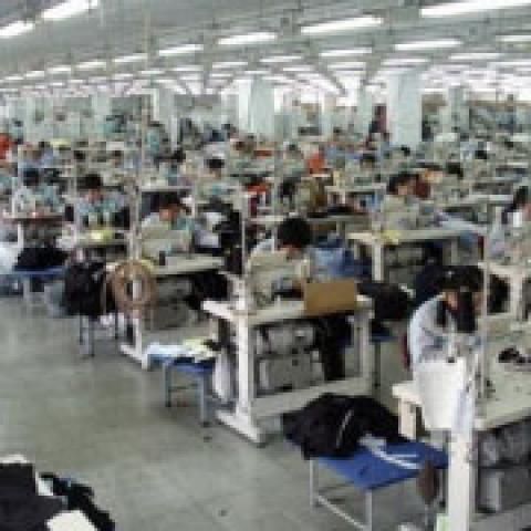 INS: Industria prelucrătoare, comerţul şi serviciile vor scădea 