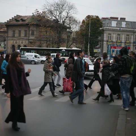 Guvernul a îngheţat salariile tuturor bugetarilor până la sfârşitul lui 2009