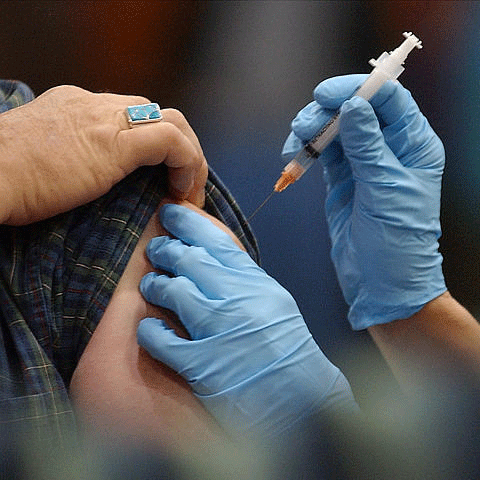 Comisia de agricultură din Senat a solicitat ANSVSA informaţii cu privire la gripa porcină