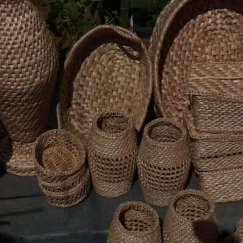 Familiile din satul bistriţean Tonciu trăiesc din împletitul papurei 