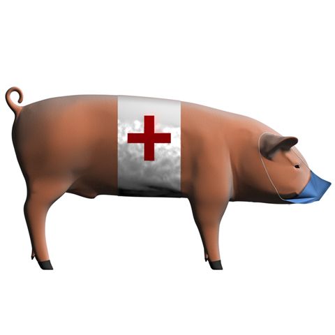 Numărul cazurilor confirmate de gripă porcină în SUA a ajuns la 111