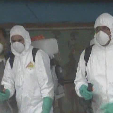 Gripa porcină se extinde cu repeziciune