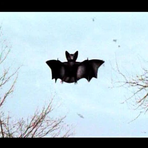 13 consorţii au depus oferte pentru a realiza brandul turistic al României 