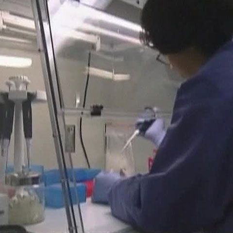 OMS a anunţat că virusul H1N1 a fost semnalat până acum în 21 de state 