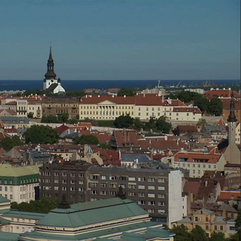 Estonii aleg între un hamburger, tiramisu şi spaghetti într-un vot-test pentru europarlamentare