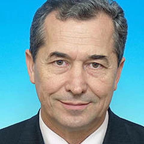 Preşedintele ANRE este audiat de Comisia de Abuzuri din Parlament