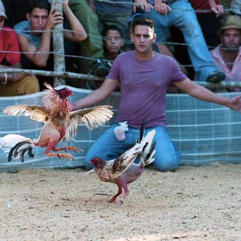 Vernisajul expoziţiei ''Cuba continuă'', semnată de Cosmin Bumbuţ, va avea loc pe 14 mai