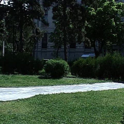 Spaţiile verzi, din Bucureşti, sunt din nou în pericol