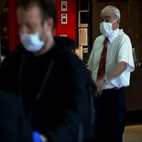 Argentina şi Brazilia au confirmat primele cazuri de gripă porcină 