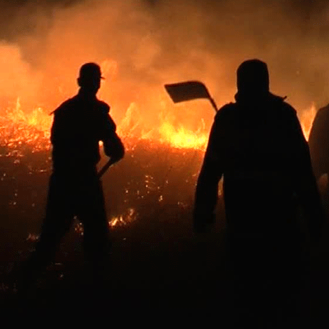 45 de hectare de păşune şi vegetaţie uscată au ars în judeţul Covasna