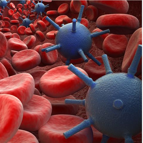 Nou bilanţ OMS al epidemiei de gripă porcină: 4.694 de cazuri în 30 de ţări, 53 de morţi