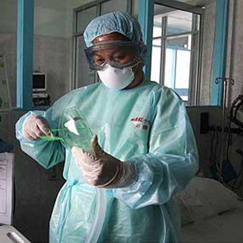 Simptomele provocate de virusul A(H1N1) la porci sunt similare cu cele de la oameni