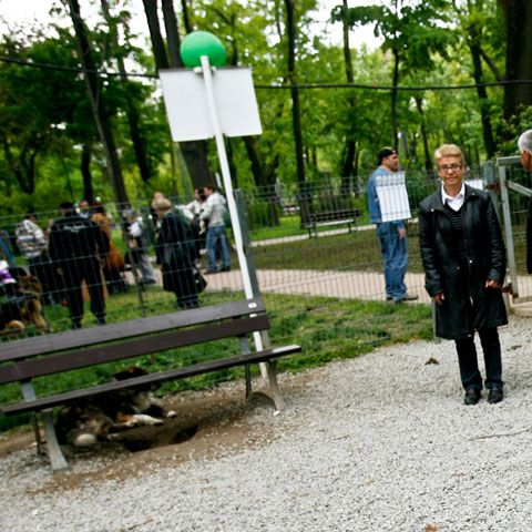 Legea unică va obliga 350.000 bugetari cu pensii speciale să contribuie la sistemul public de pensii